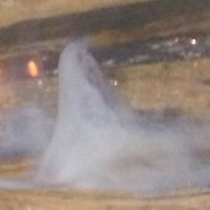 Meet your Posher, Charles